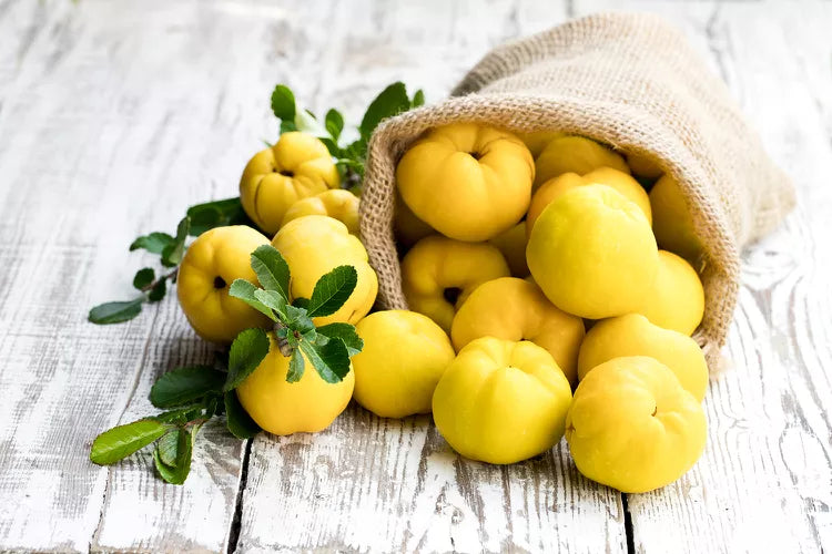 Quince, Ayva 1 Lb
