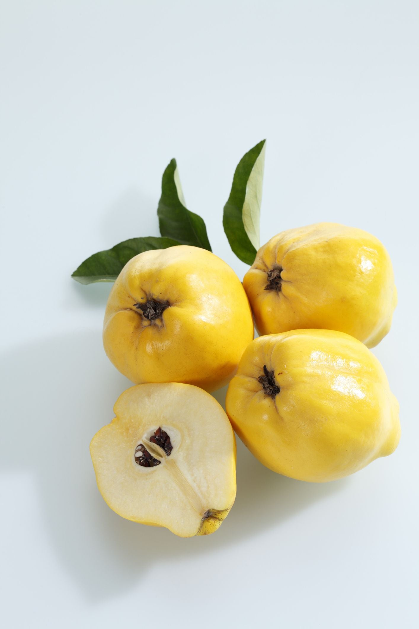 Quince, Ayva 1 Lb